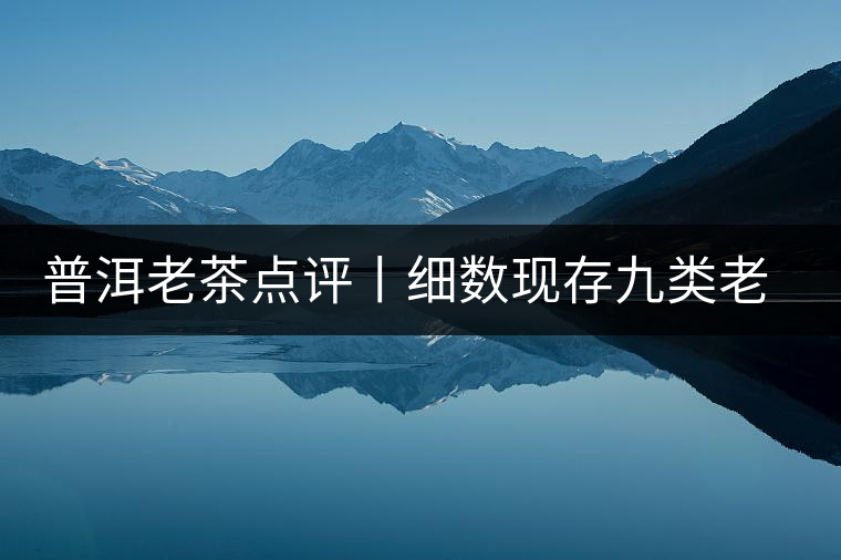 普洱老茶點評丨細數現存九類老茶的特點