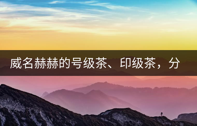 威名赫赫的號(hào)級(jí)茶、印級(jí)茶，分別是些什么普洱茶？