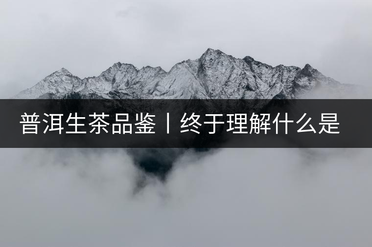 普洱生茶品鑒丨終于理解什么是“醇厚、耐泡，回甘”了
