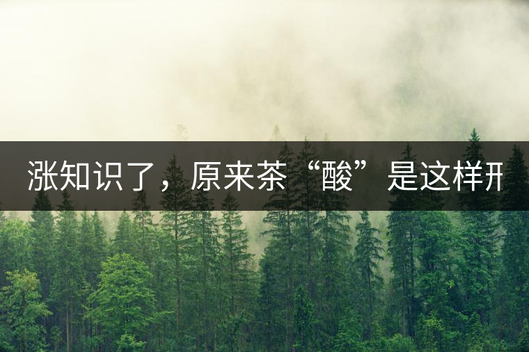 漲知識(shí)了，原來(lái)茶“酸”是這樣形成的！
