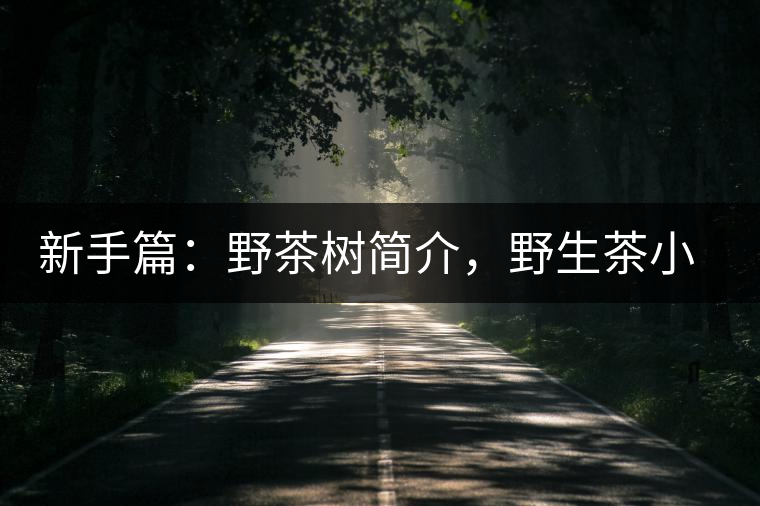 新手篇：野茶樹簡介，野生茶小知識