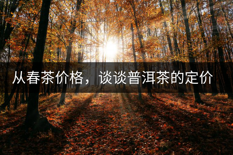 從春茶價格，談談普洱茶的定價權(quán)