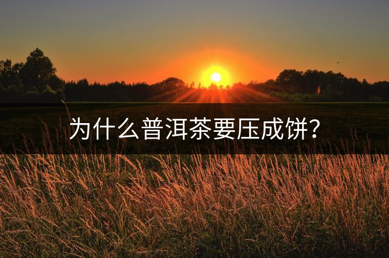 為什么普洱茶要壓成餅？