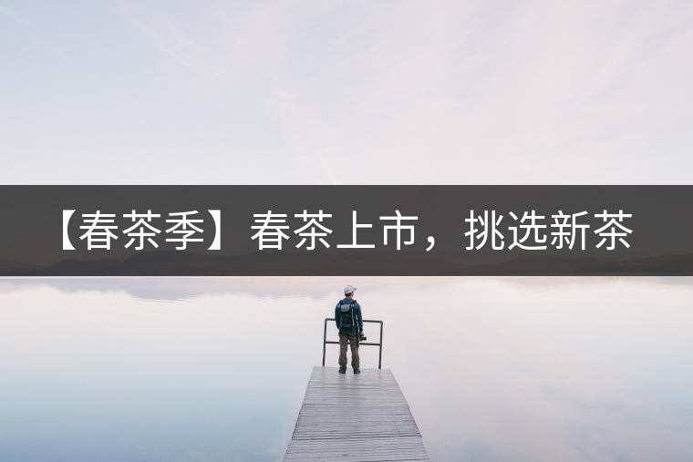 【春茶季】春茶上市，挑選新茶有講究