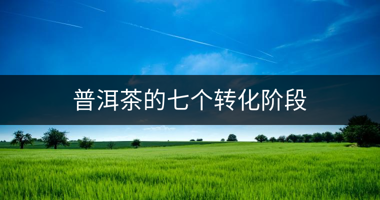 普洱茶的七個(gè)轉(zhuǎn)化階段
