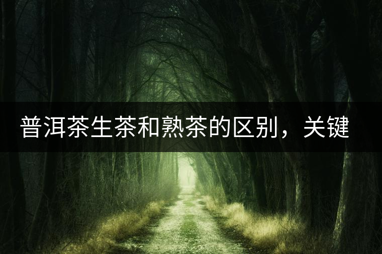 普洱茶生茶和熟茶的區(qū)別，關(guān)鍵在于前半生