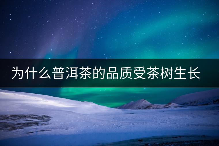 為什么普洱茶的品質(zhì)受茶樹生長環(huán)境的影響？