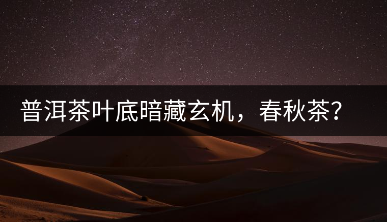 普洱茶葉底暗藏玄機(jī)，春秋茶？大樹茶？野生茶？班章料？你讀懂了嗎？