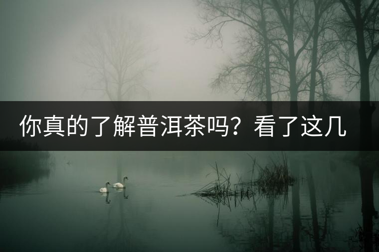 你真的了解普洱茶嗎？看了這幾個問題……