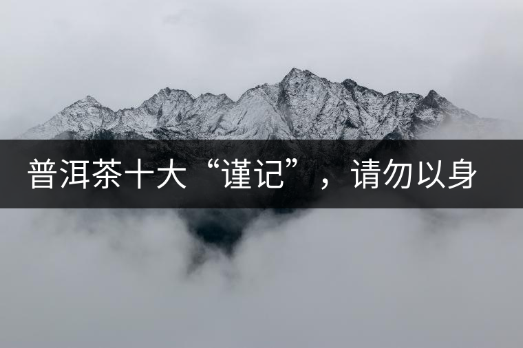 普洱茶十大“謹(jǐn)記”，請勿以身相試