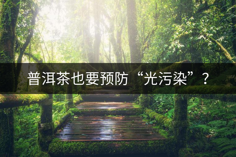 普洱茶也要預(yù)防“光污染”？