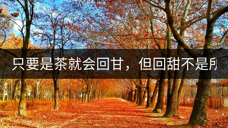 只要是茶就會(huì)回甘，但回甜不是所有茶都有！