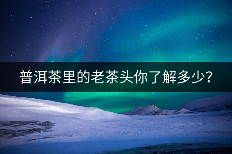 普洱茶里的老茶頭你了解多少？