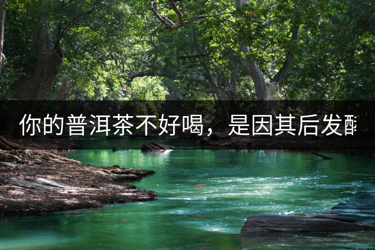 你的普洱茶不好喝，是因其后發(fā)酵能力不夠！
