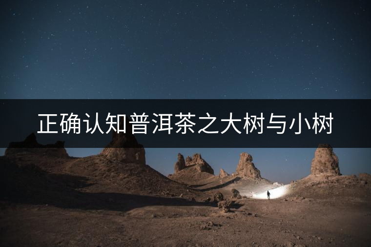 正確認(rèn)知普洱茶之大樹(shù)與小樹(shù)