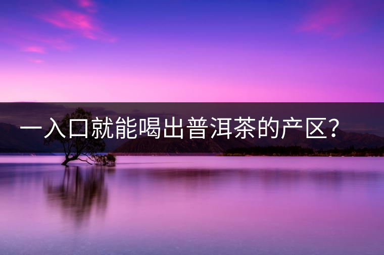 一入口就能喝出普洱茶的產(chǎn)區(qū)？怎么能不讀這篇文章呢？