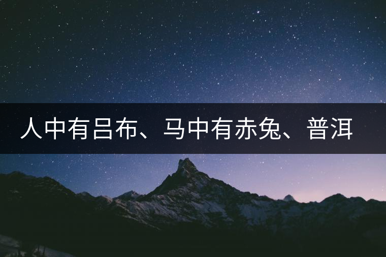 人中有呂布、馬中有赤兔、普洱中有茶化石：碎銀子！