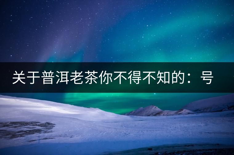 關(guān)于普洱老茶你不得不知的：號級茶、印級茶、七子餅茶