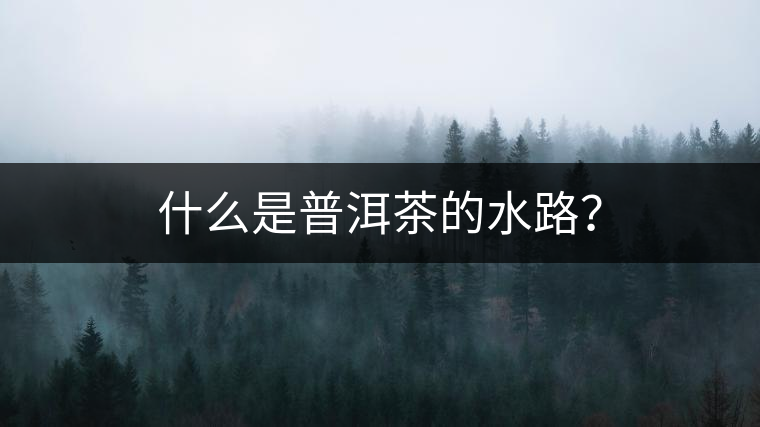 什么是普洱茶的水路？