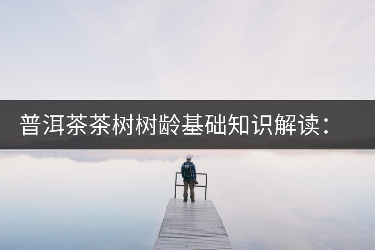 普洱茶茶樹樹齡基礎知識解讀：多大樹齡的茶才算古樹茶？