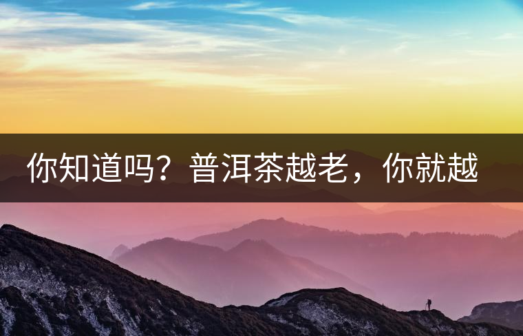 你知道嗎？普洱茶越老，你就越年輕