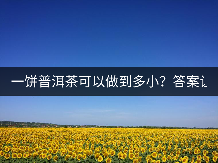 一餅普洱茶可以做到多?。看鸢缸屓艘庀氩坏?..
