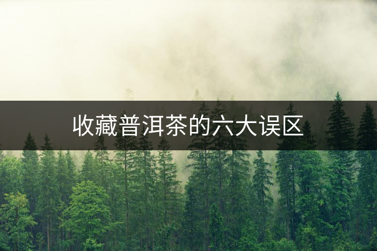 收藏普洱茶的六大誤區(qū)