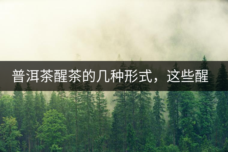 普洱茶醒茶的幾種形式，這些醒茶方法你都會了嗎？