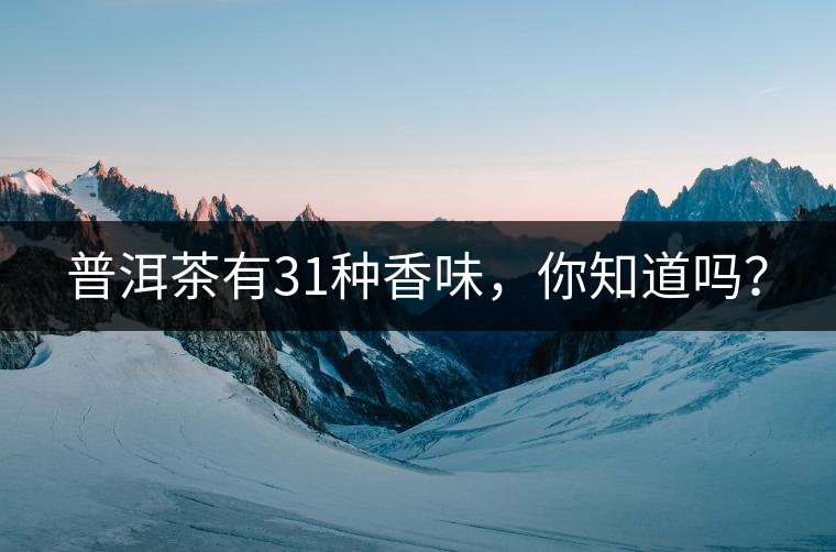 普洱茶有31種香味，你知道嗎？