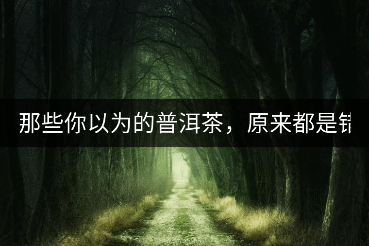 那些你以為的普洱茶，原來都是錯(cuò)的！