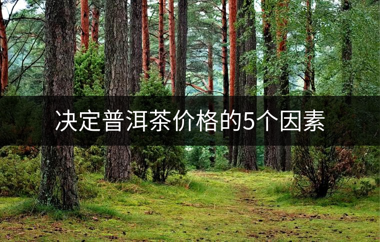 決定普洱茶價(jià)格的5個(gè)因素 決定普洱茶價(jià)格的5個(gè)因素
