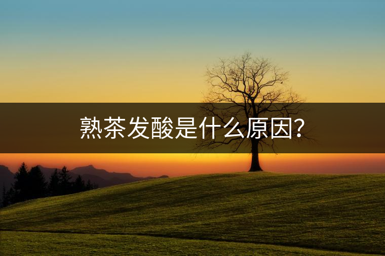 熟茶發(fā)酸是什么原因？