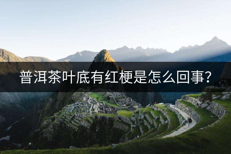 普洱茶葉底有紅梗是怎么回事？