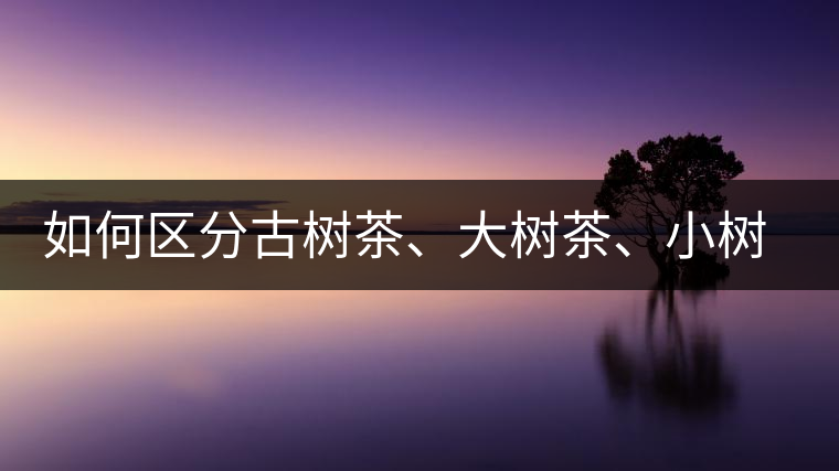 如何區(qū)分古樹(shù)茶、大樹(shù)茶、小樹(shù)茶、臺(tái)樹(shù)茶？