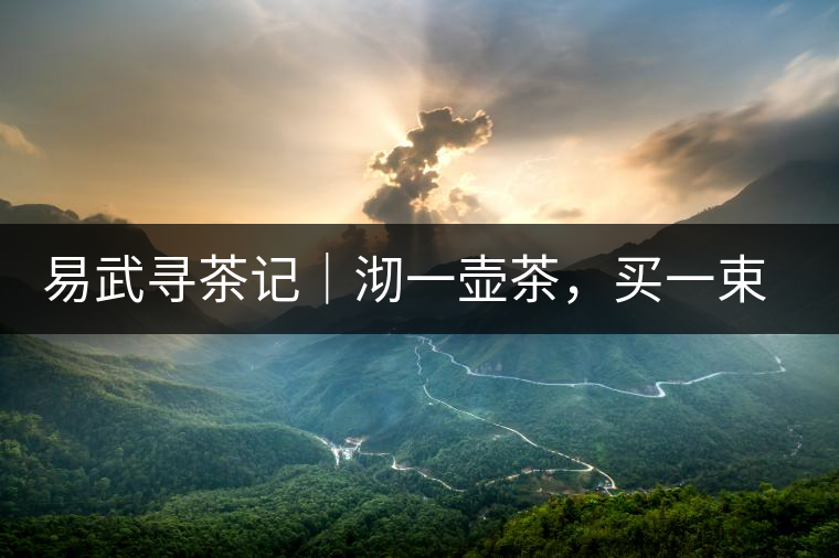 易武尋茶記｜沏一壺茶，買(mǎi)一束花，享半日余暇