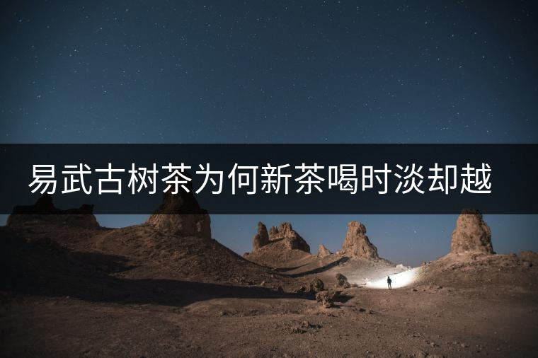 易武古樹茶為何新茶喝時淡卻越放越濃？