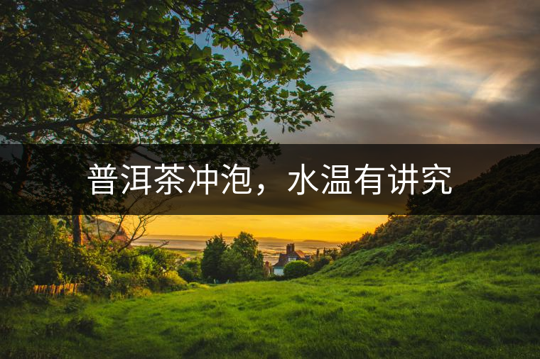 普洱茶沖泡，水溫有講究