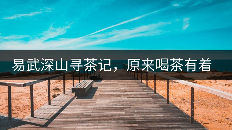 易武深山尋茶記，原來喝茶有著這么多誤區(qū)