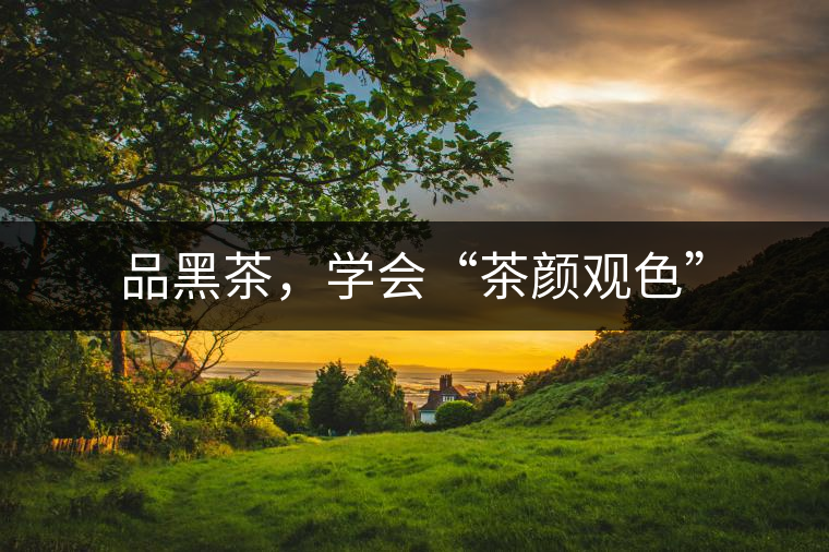 品黑茶，學會“茶顏觀色”
