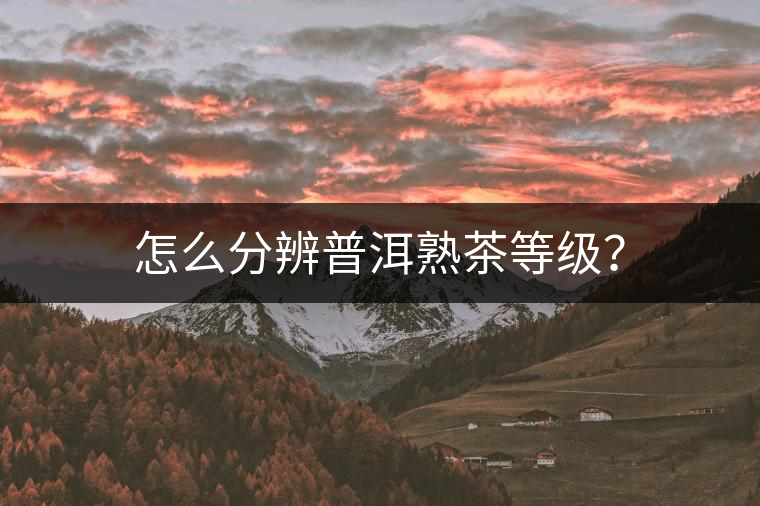 怎么分辨普洱熟茶等級? 怎么分辨普洱熟茶等級?