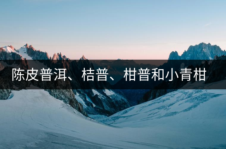 陳皮普洱、桔普、柑普和小青柑茶的分辨技巧