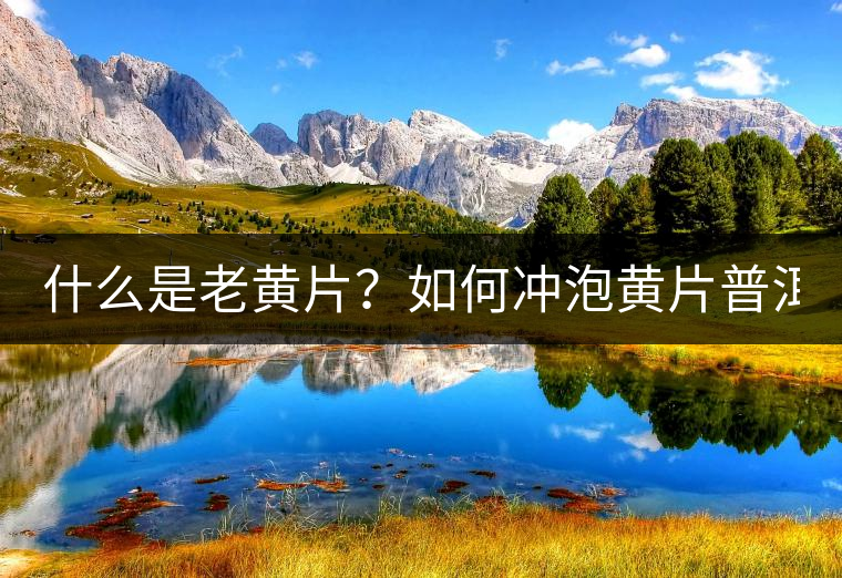 什么是老黃片？如何沖泡黃片普洱茶？