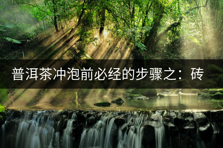 普洱茶沖泡前必經(jīng)的步驟之：磚茶如何撬？