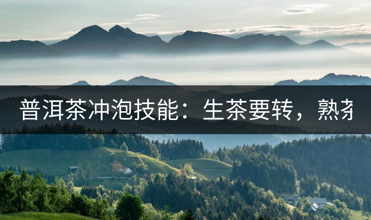 普洱茶沖泡技能：生茶要轉(zhuǎn)，熟茶要柔！