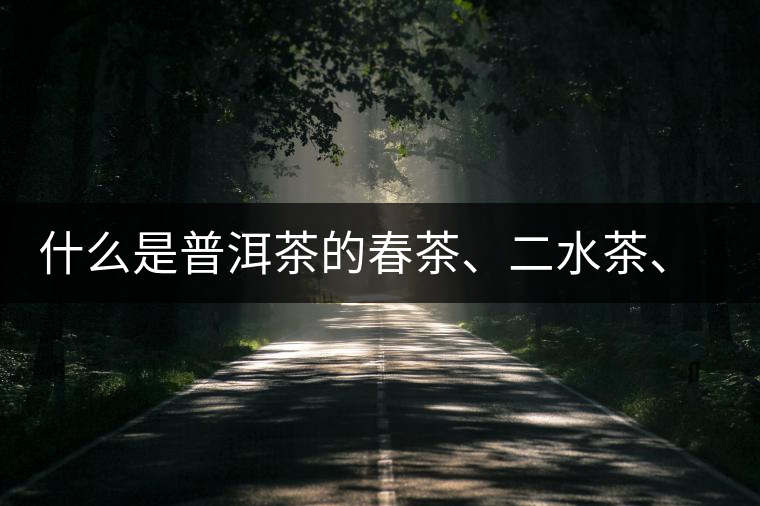 什么是普洱茶的春茶、二水茶、三水茶、四水茶