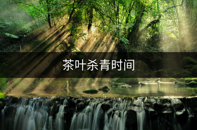 茶葉殺青時間