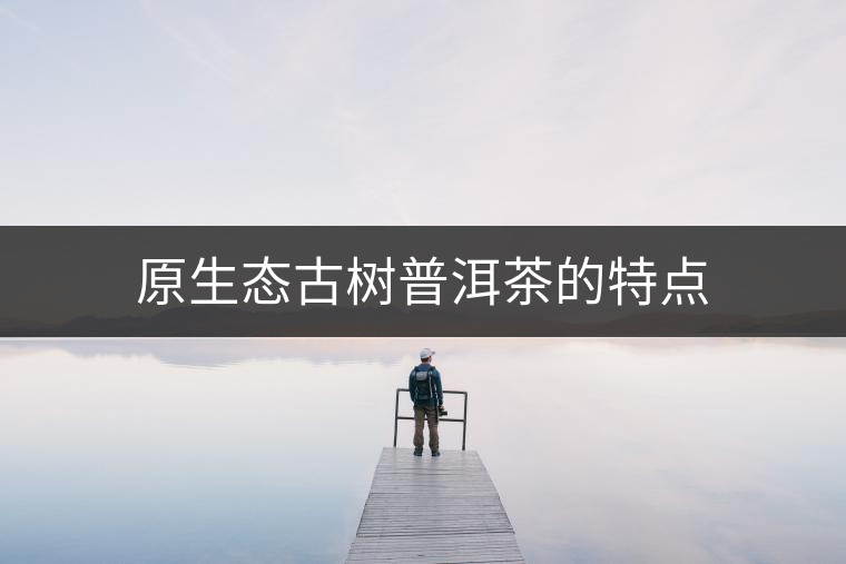 原生態(tài)古樹普洱茶的特點(diǎn) 原生態(tài)古樹普洱茶的特點(diǎn)