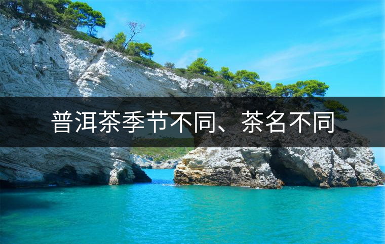 普洱茶季節(jié)不同、茶名不同