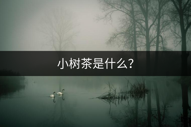 小樹茶是什么？