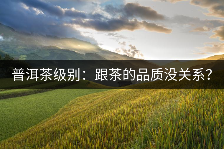 普洱茶級別：跟茶的品質(zhì)沒關系？